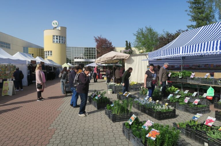 Výstaviště Lysá nad Labem slaví třicetileté výročí