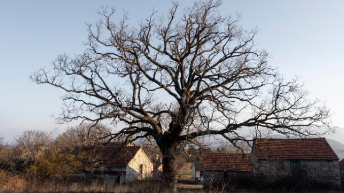 Krajina roztavených zvonů