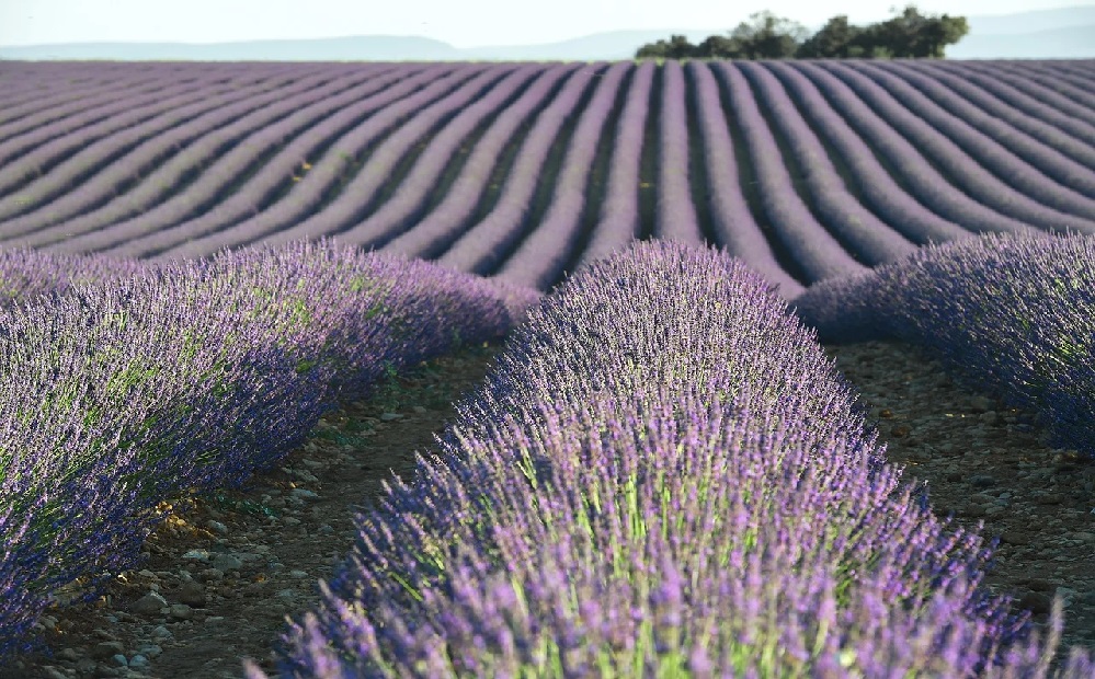 Měsíc v Provence