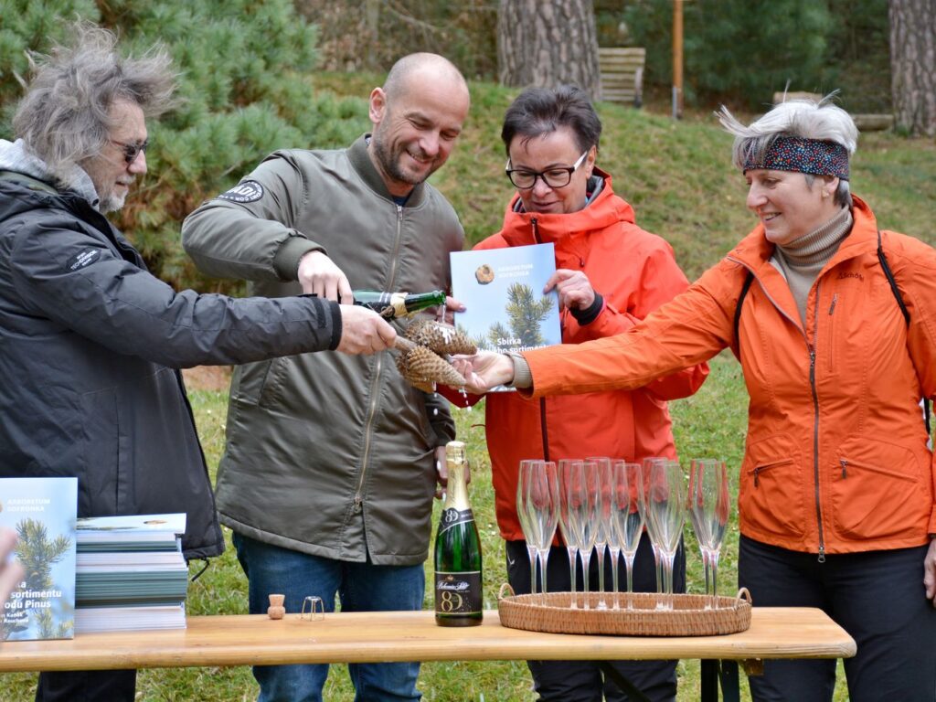 Sbírka světového sortimentu druhů rodu Pinus