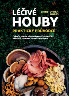 Léčivé houby – Praktický průvodce